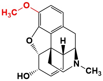 Figure 6C: Codeine