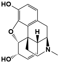 Figure 1B: Morphine