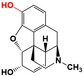 Figure 6B: Morphine