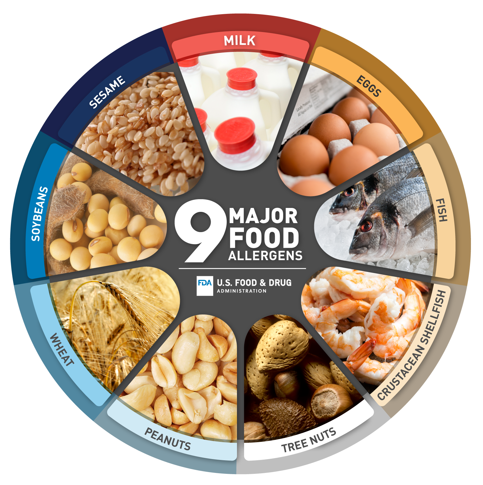 Figure 1: Nine major food allergies (FDA).