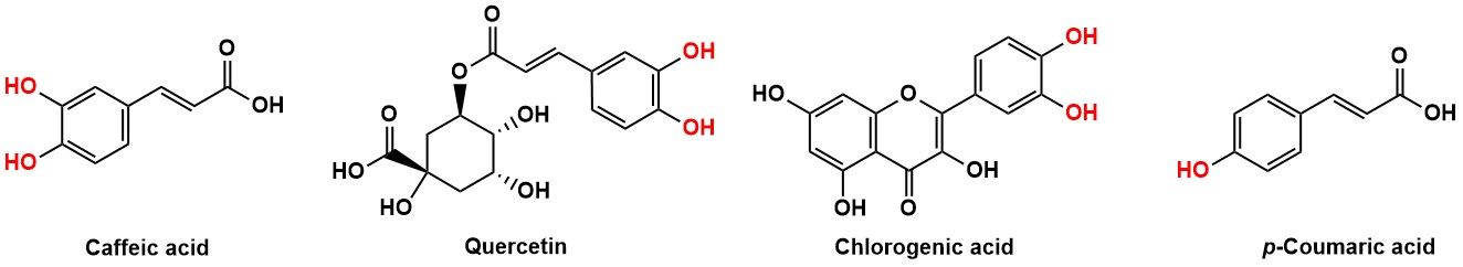 Figure 2: Orthodiphenols and monophenols.