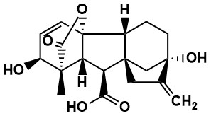 Figure 3: Gibberellic acid