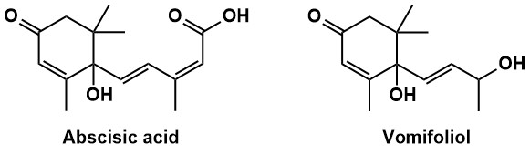 Figure 5: Abscisic acid and Vomifoliol