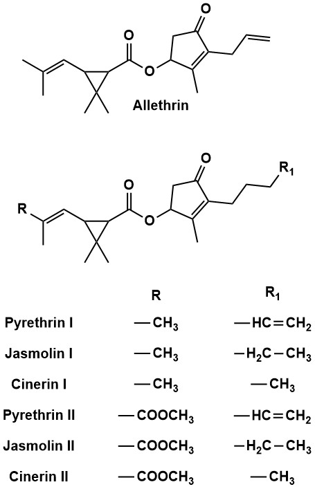 Figure 2: Chemical constituents of pyrethrum